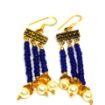 Blue color seed Beads Earrings